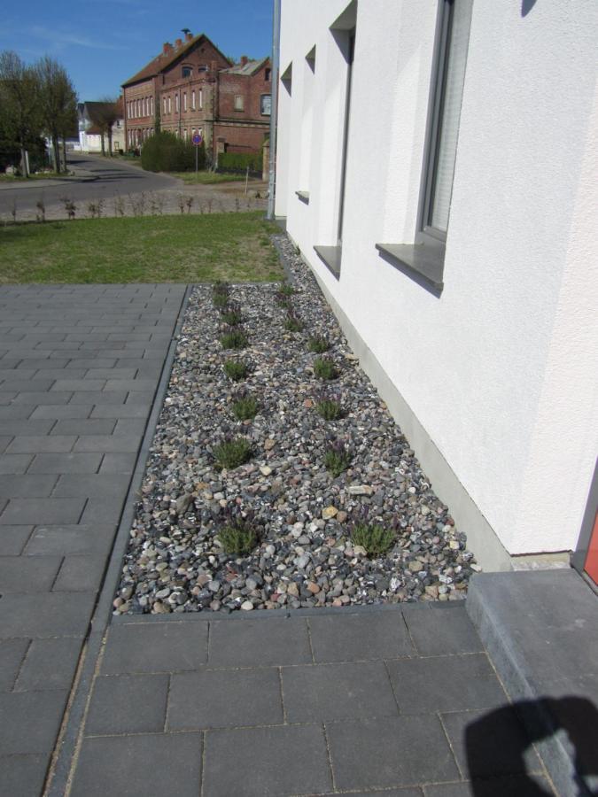 Villa Reusenhaus Nord Breege Exterior foto